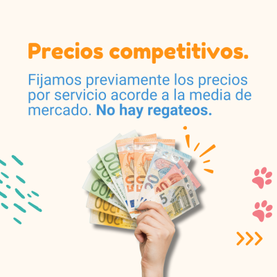 3-PORQUE