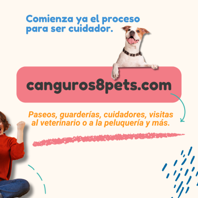 6-PORQUE