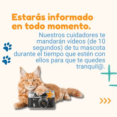 cliente1