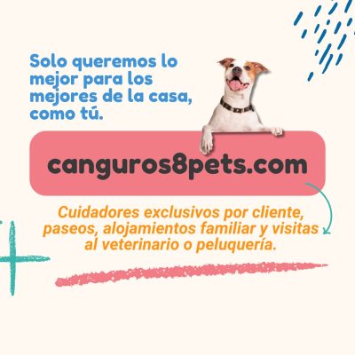 cliente2