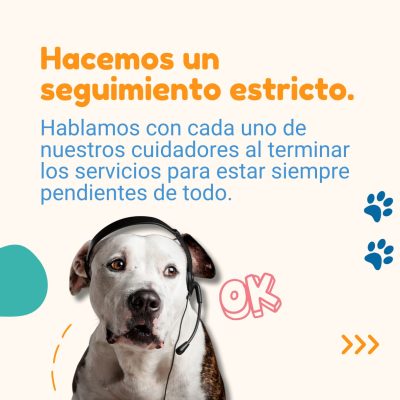 cliente3