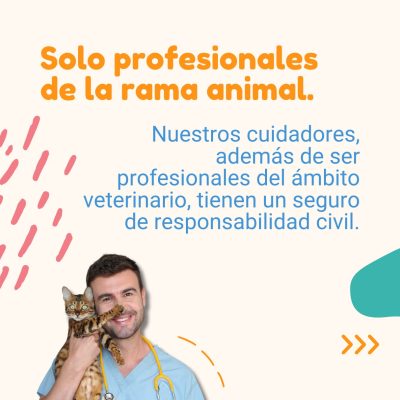 cliente4