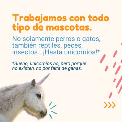 cliente6